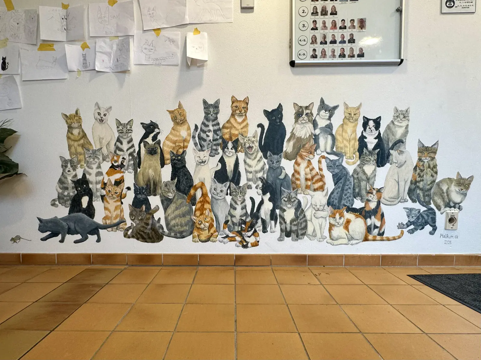 Katte kan misforstås